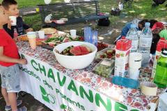 Picnic1